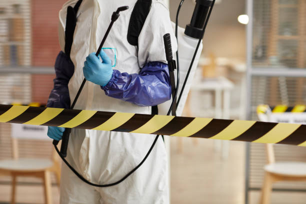 Professional Sewage Cleanup technician working in Hiram, OH